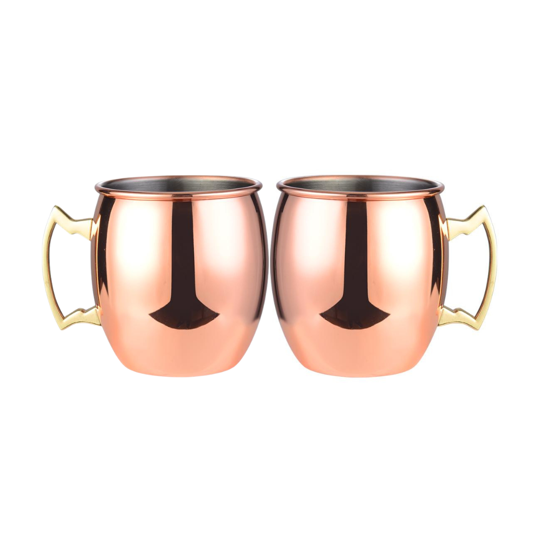 530ml (18 OZ) Stainless Steel Moscow Mule Mugs (Set of 2)