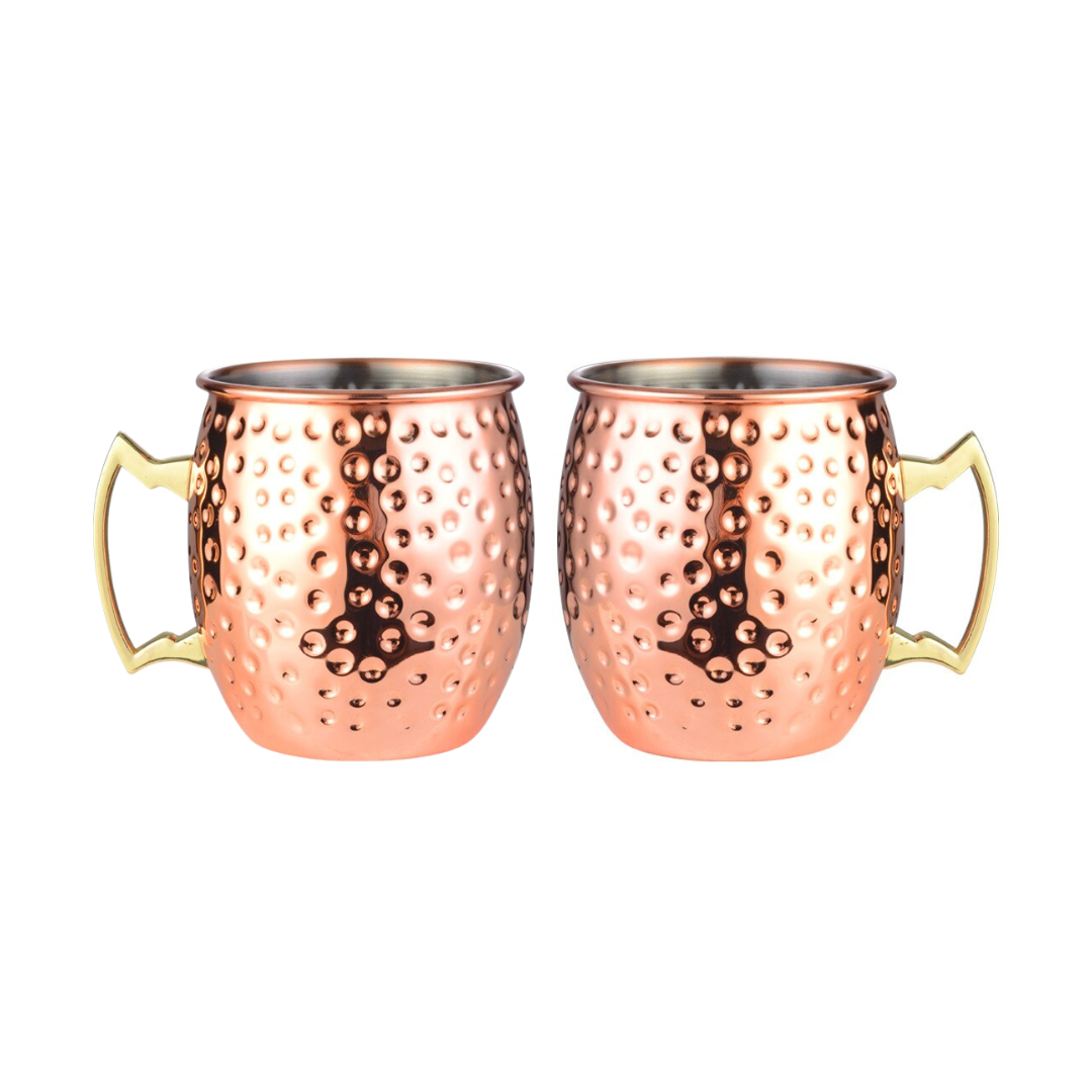 530ml (18 OZ) Stainless Steel Moscow Mule Mugs (Set of 2)